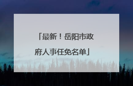 最新！岳阳市政府人事任免名单