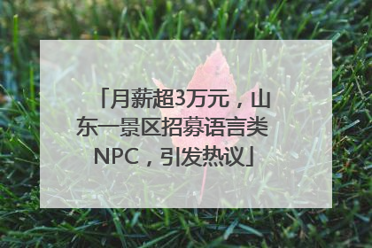 月薪超3万元，山东一景区招募语言类NPC，引发热议