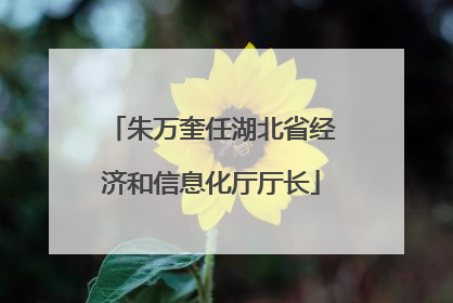 朱万奎任湖北省经济和信息化厅厅长