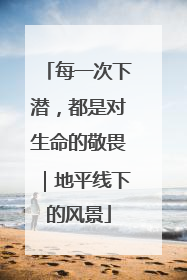每一次下潜，都是对生命的敬畏｜地平线下的风景