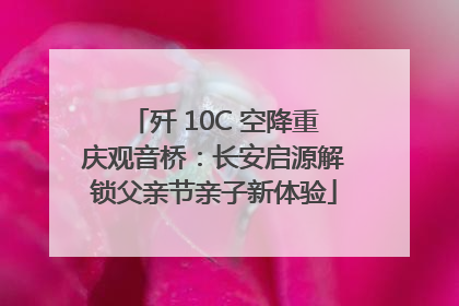 歼 10C 空降重庆观音桥：长安启源解锁父亲节亲子新体验