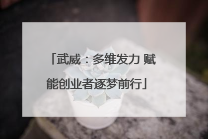 武威：多维发力 赋能创业者逐梦前行