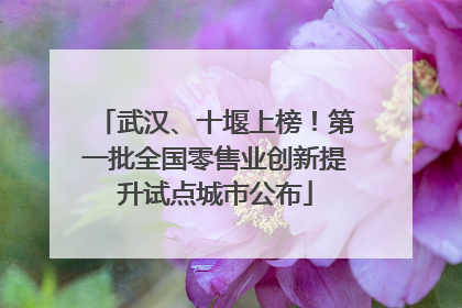 武汉、十堰上榜！第一批全国零售业创新提升试点城市公布
