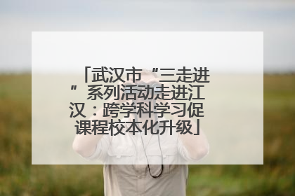武汉市“三走进”系列活动走进江汉：跨学科学习促课程校本化升级