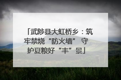 武陟县大虹桥乡：筑牢禁烧“防火墙” 守护夏粮好“丰”景