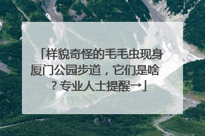 样貌奇怪的毛毛虫现身厦门公园步道，它们是啥？专业人士提醒→