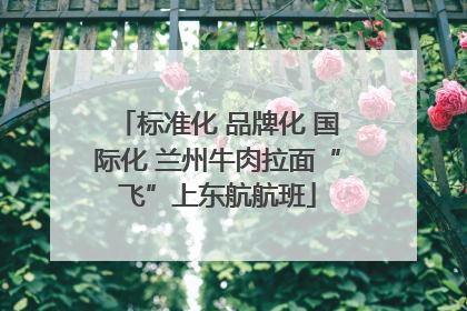 标准化 品牌化 国际化 兰州牛肉拉面“飞”上东航航班