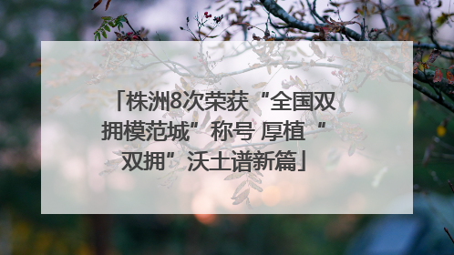 株洲8次荣获“全国双拥模范城”称号 厚植“双拥”沃土谱新篇
