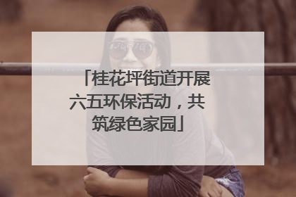 桂花坪街道开展六五环保活动，共筑绿色家园