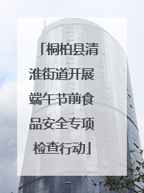 桐柏县清淮街道开展端午节前食品安全专项检查行动
