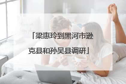 梁惠玲到黑河市逊克县和孙吴县调研