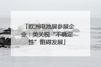 欧洲电池展参展企业：美关税“不确定性”阻碍发展