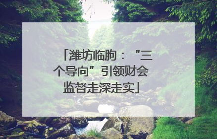 潍坊临朐：“三个导向”引领财会监督走深走实