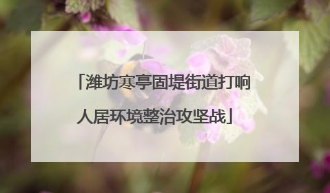 潍坊寒亭固堤街道打响人居环境整治攻坚战