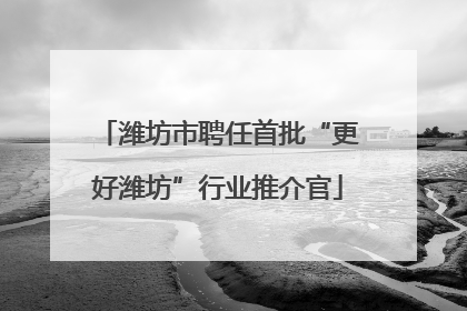 潍坊市聘任首批“更好潍坊”行业推介官