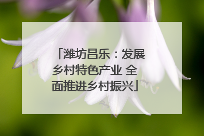 潍坊昌乐：发展乡村特色产业 全面推进乡村振兴