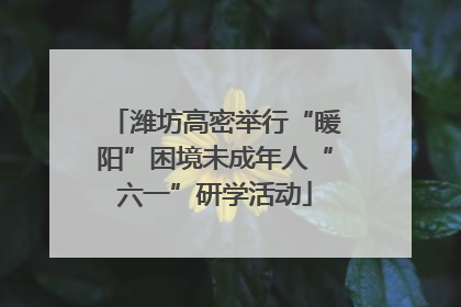 潍坊高密举行“暖阳”困境未成年人“六一”研学活动
