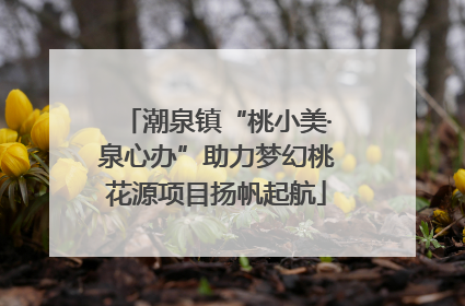 潮泉镇“桃小美·泉心办”助力梦幻桃花源项目扬帆起航