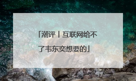 潮评丨互联网给不了韦东奕想要的