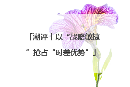 潮评丨以“战略敏捷”抢占“时差优势”
