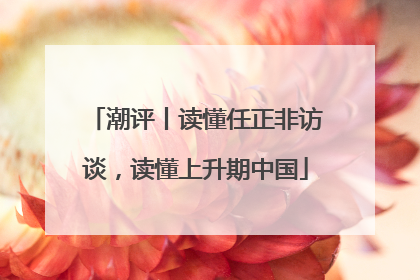 潮评丨读懂任正非访谈，读懂上升期中国