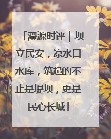 澧源时评｜坝立民安，凉水口水库，筑起的不止是堤坝，更是民心长城