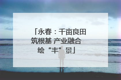永春：千亩良田筑根基 产业融合绘“丰”景