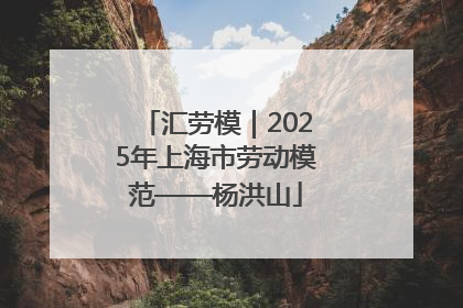 汇劳模｜2025年上海市劳动模范——杨洪山