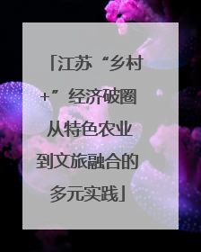 江苏“乡村+”经济破圈 从特色农业到文旅融合的多元实践