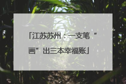 江苏苏州：一支笔“画”出三本幸福账