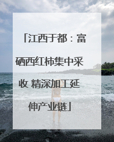 江西于都：富硒西红柿集中采收 精深加工延伸产业链
