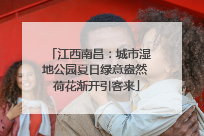 江西南昌：城市湿地公园夏日绿意盎然 荷花渐开引客来