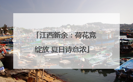 江西新余：荷花竞绽放 夏日诗意浓