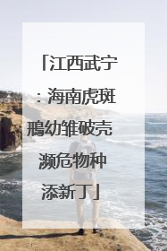 江西武宁：海南虎斑鳽幼雏破壳 濒危物种添新丁