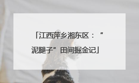 江西萍乡湘东区：“泥腿子”田间掘金记