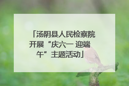 汤阴县人民检察院开展“庆六一 迎端午”主题活动