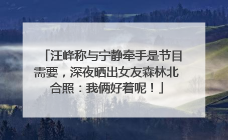 汪峰称与宁静牵手是节目需要，深夜晒出女友森林北合照：我俩好着呢！