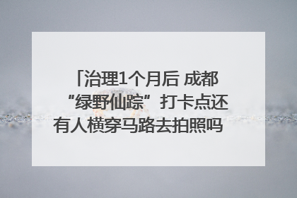 治理1个月后 成都“绿野仙踪”打卡点还有人横穿马路去拍照吗？｜民情瞭望