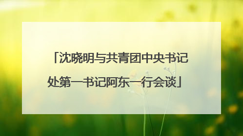 沈晓明与共青团中央书记处第一书记阿东一行会谈