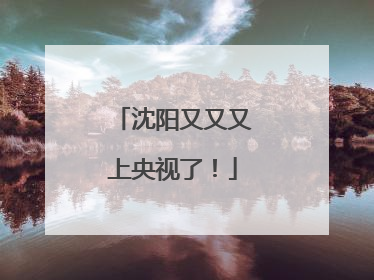 沈阳又又又上央视了！