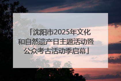 沈阳市2025年文化和自然遗产日主题活动暨公众考古活动季启幕