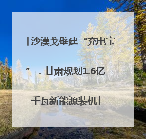 沙漠戈壁建“充电宝”：甘肃规划1.6亿千瓦新能源装机
