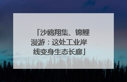 沙鸥翔集、锦鲤漫游：这处工业岸线变身生态长廊