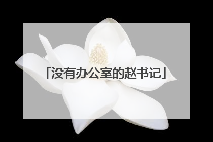 没有办公室的赵书记