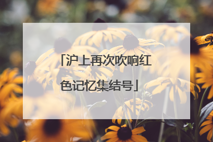 沪上再次吹响红色记忆集结号