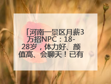 河南一景区月薪3万招NPC：18-28岁，体力好、颜值高、会聊天！已有1000多人应聘