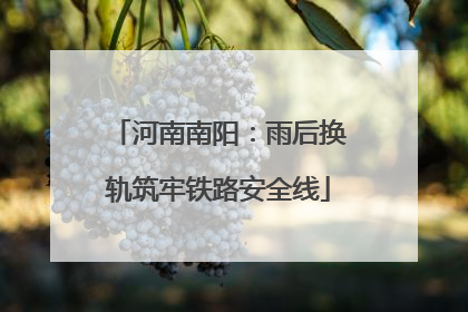 河南南阳：雨后换轨筑牢铁路安全线