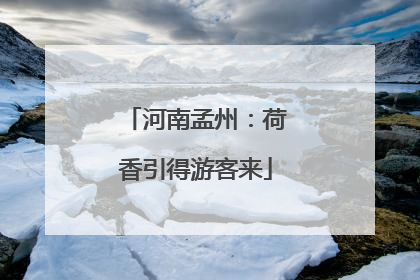 河南孟州：荷香引得游客来