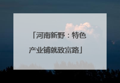 河南新野：特色产业铺就致富路