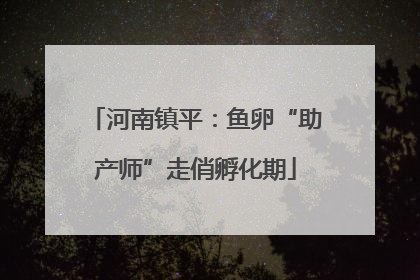 河南镇平：鱼卵“助产师”走俏孵化期
